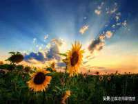灵动家政服务（舟山）有限公司随州分公司