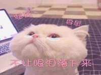 灵动家政服务（舟山）有限公司随州分公司