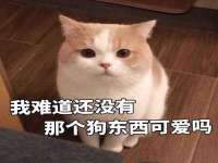 灵动家政服务（舟山）有限公司随州分公司