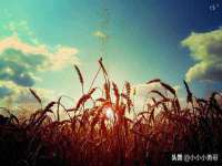 灵动家政服务（舟山）有限公司随州分公司