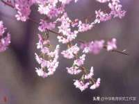 灵动家政服务（舟山）有限公司随州分公司