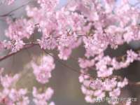 灵动家政服务（舟山）有限公司随州分公司