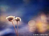 灵动家政服务（舟山）有限公司随州分公司