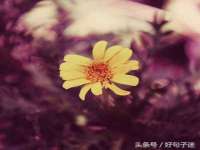 灵动家政服务（舟山）有限公司随州分公司