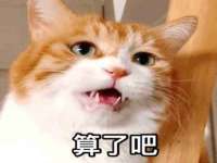 灵动家政服务（舟山）有限公司随州分公司