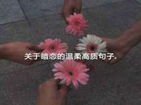 灵动家政服务（舟山）有限公司随州分公司