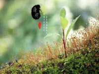 灵动家政服务（舟山）有限公司随州分公司