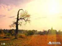 灵动家政服务（舟山）有限公司随州分公司