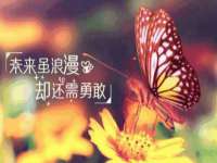 灵动家政服务（舟山）有限公司随州分公司