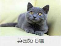 灵动家政服务（舟山）有限公司随州分公司