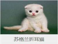 灵动家政服务（舟山）有限公司随州分公司