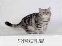 灵动家政服务（舟山）有限公司随州分公司