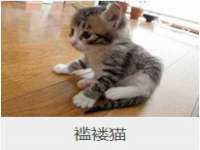 灵动家政服务（舟山）有限公司随州分公司