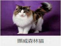 灵动家政服务（舟山）有限公司随州分公司