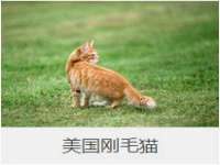 灵动家政服务（舟山）有限公司随州分公司