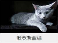 灵动家政服务（舟山）有限公司随州分公司