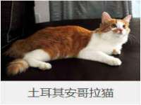 灵动家政服务（舟山）有限公司随州分公司