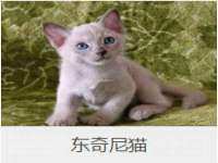 灵动家政服务（舟山）有限公司随州分公司