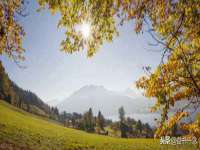 灵动家政服务（舟山）有限公司随州分公司