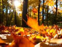 灵动家政服务（舟山）有限公司随州分公司