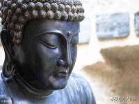 灵动家政服务（舟山）有限公司随州分公司