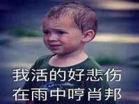 灵动家政服务（舟山）有限公司随州分公司