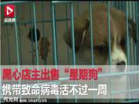灵动家政服务（舟山）有限公司随州分公司