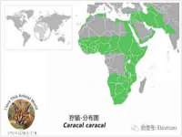 灵动家政服务（舟山）有限公司随州分公司