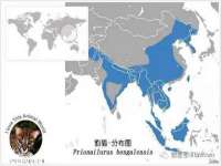 灵动家政服务（舟山）有限公司随州分公司