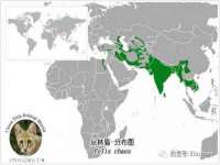 灵动家政服务（舟山）有限公司随州分公司