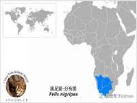 灵动家政服务（舟山）有限公司随州分公司