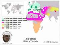灵动家政服务（舟山）有限公司随州分公司
