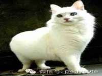 灵动家政服务（舟山）有限公司随州分公司