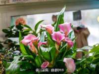 灵动家政服务（舟山）有限公司随州分公司