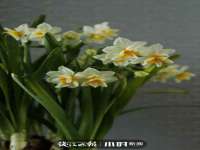 灵动家政服务（舟山）有限公司随州分公司
