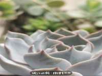 灵动家政服务（舟山）有限公司随州分公司