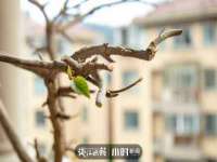 灵动家政服务（舟山）有限公司随州分公司