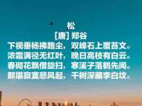 灵动家政服务（舟山）有限公司随州分公司