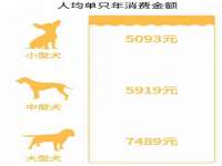 灵动家政服务（舟山）有限公司随州分公司