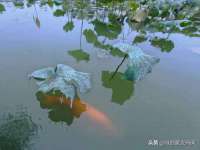 灵动家政服务（舟山）有限公司随州分公司