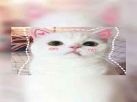 灵动家政服务（舟山）有限公司随州分公司