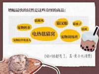 灵动家政服务（舟山）有限公司随州分公司