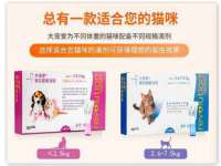 灵动家政服务（舟山）有限公司随州分公司