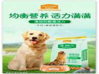 灵动家政服务（舟山）有限公司随州分公司