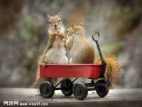 灵动家政服务（舟山）有限公司随州分公司