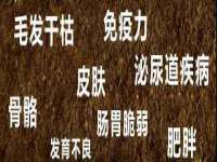 灵动家政服务（舟山）有限公司随州分公司