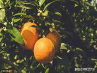 灵动家政服务（舟山）有限公司随州分公司