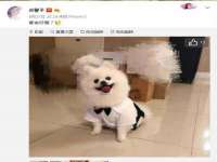 灵动家政服务（舟山）有限公司随州分公司