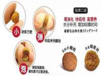 灵动家政服务（舟山）有限公司随州分公司