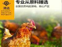 灵动家政服务（舟山）有限公司随州分公司